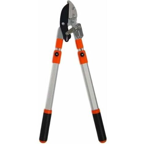 Teleskop-Ratschen-Gartenschere – Leichtes Aluminium – Schneidet bis zu 5 cm – Reichweite 3 Meter – Gewicht 1,6 kg