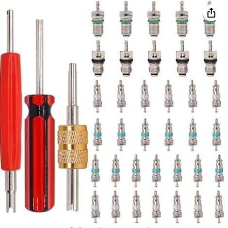 39 pièces Kit de noyau de valve de climatisation voiture R134a noyaux de tige de valve Schrader de réfrigération avec outil de retrait de noyau de valve Kit de bouchons d'étanchéité du système (1/3)