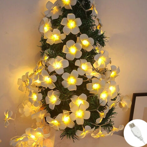 1Guirlande LED 6m Fleurs Artificielles Frangipanier,40 LED,USB - Idéal Chambre, Mariage, Noël, Décoration Romantique Lumière Chaude (1/5)