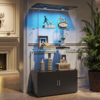 JOOKGBD-Vitrina de Cristal con LED, Vitrina para Colecciones, Armario Vitrina para Colecciones con 4 Puertas y 3 Estantes Transparentes, Mueble de Cristal con Vidrio Templado y Efecto Espejo,Negro