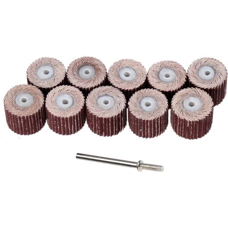 10-teiliges Lamellenschleifscheiben-Set – Körnung 240 – 15 mm Durchmesser – mit 3-mm-Dorn – für Dremel-Rotationswerkzeuge (1/5)