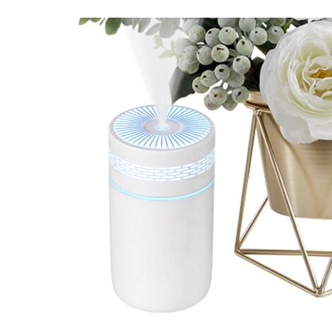 Humidificateur de bureau, brumisateur portable lumineux, capacité de 250 ml, double vitesse, modèle à brancher, brumisateur silencieux (1/5)
