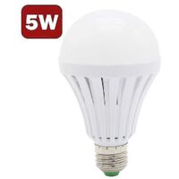 Ampoule LED portable — Ampoule suspendue — Ampoules d'extérieur — Luminaire suspendu globe
