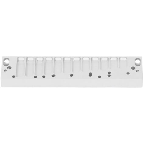 Combinaison pour Harmonica Chromatique 12 Trous, Finition Argent Givré, Compatible avec Hohner 270D (1/5)
