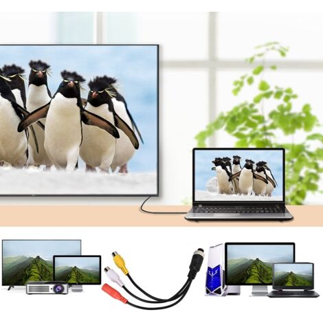 Câble de prolongation pour caméra de recul, connecteur femelle AV et DC pour moniteur auto (1/5)