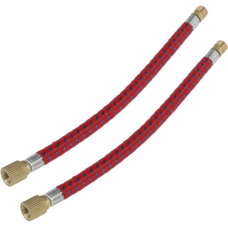 Pompe à vélo 2 pièces avec rallonge en nylon et cuivre de 16,6 cm, double valve pour chambres à air (1/5)