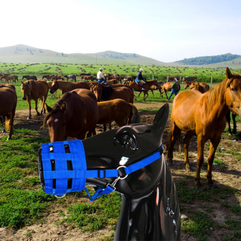 Muselière de pâturage respirante pour cheval, avec doublure en nylon gaufré et fermeture Velcro rapide, licol inclus