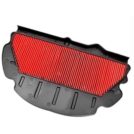 Filtre à air pour motos CBR900RR/CBR954RR 2002-2003 (1/5)