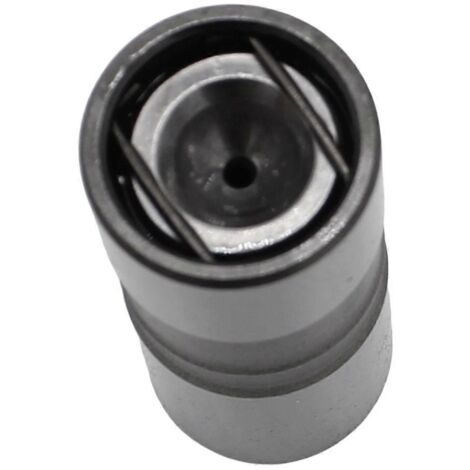 poussoirs de soupape hydrauliques pour arbre à cames 5137206 (1/5)