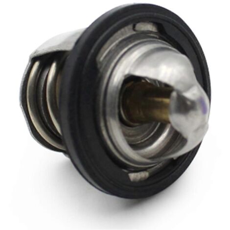Thermostat de refroidissement GTS300, argent (1/5)
