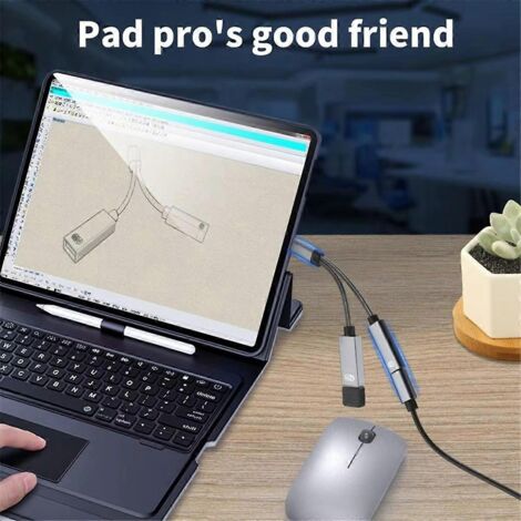 Câble adaptateur de charge USB-C OTG 2 en 1 pour B (1/5)