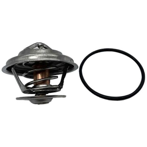 Thermostat de liquide de refroidissement moteur automobile 1102000515 - Argenté (1/5)