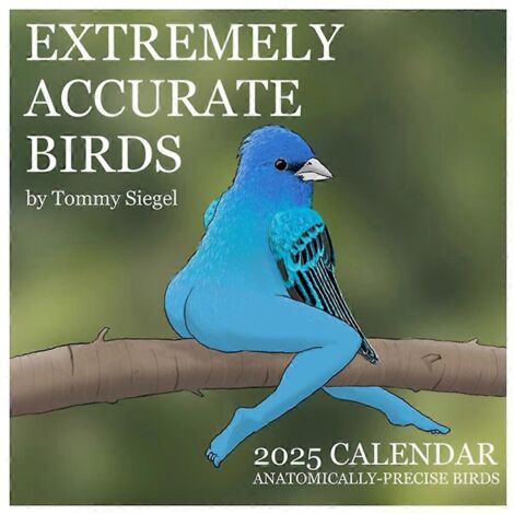 Calendrier décoratif 2025 avec oiseaux, extrêmement précis (voir photo) (1/5)