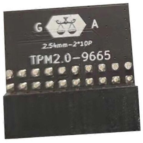 Module de sécurité crypté TPM 2.0 pour carte mère, noir (1/5)