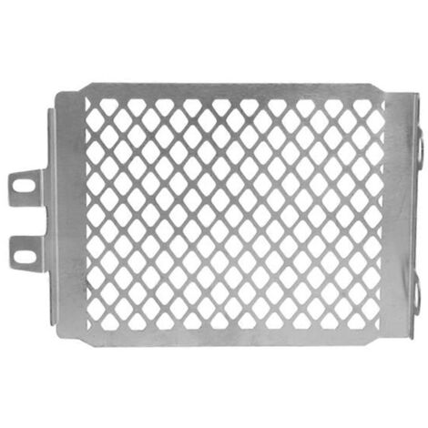 Grille de protection de radiateur, cache de protection argenté (1/5)