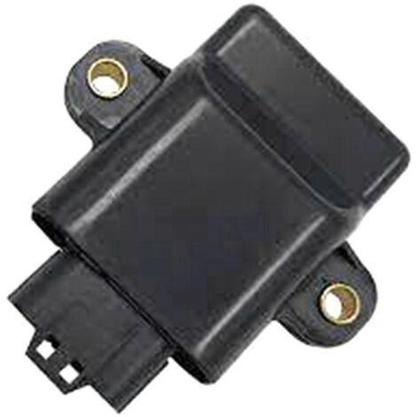 Ensemble d'allumage CDI noir pour moteurs 4 temps 15 et 20 CV (1/5)