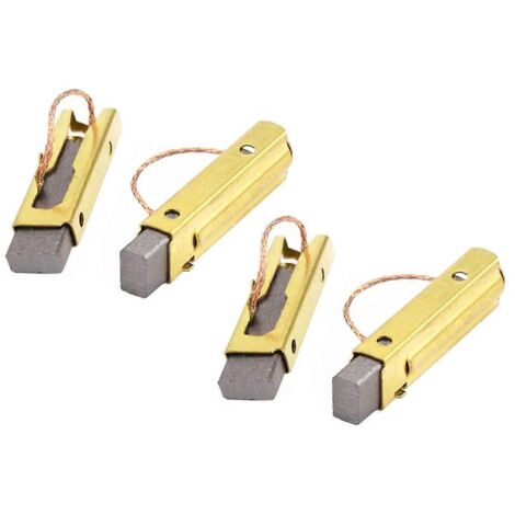 Jeu de 4 balais de charbon 496268 compatibles avec l'aspirateur MIRKA915 (1/5)