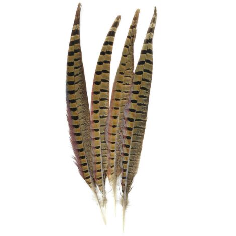 Plumes de faisan à collier Touch of Nature, lot de 4, naturelles (voir photo) (1/2)