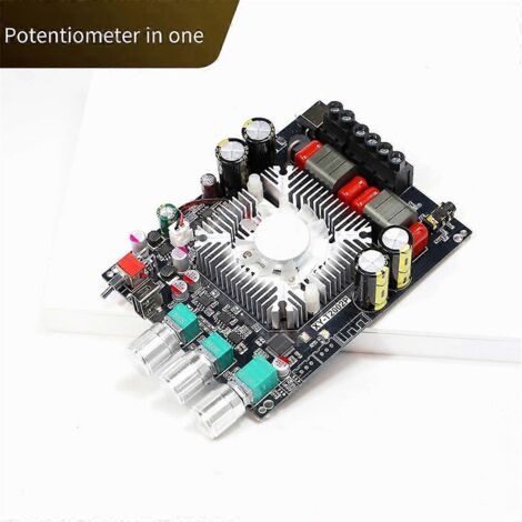 Amplificateur de puissance numérique HiFi de qualité Fever T2002P (1/5)