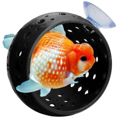 Cachette pour poisson betta d'aquarium - Tunnel pour aquarium avec ventouse (1/5)