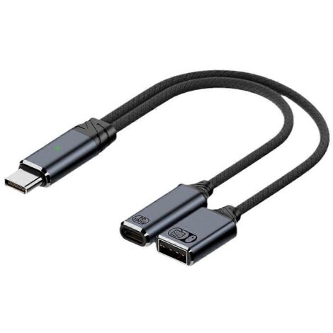 Câble USB-C OTG avec port de charge PD, 2 en 1, gris (1/5)