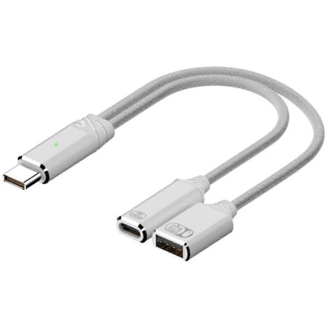 Câble USB-C OTG avec port de charge PD, 2 en 1 blanc (1/5)