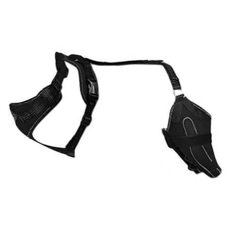 Collier pour genouillère de patte arrière pour chien asiatique souffrant d'arthrite, taille M (1/5)