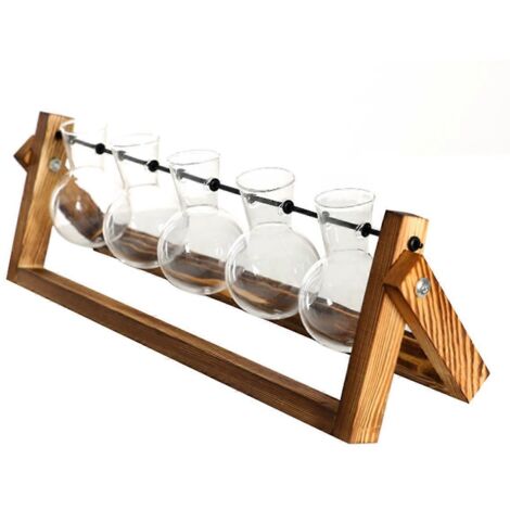 Terrarium mural pour plantes avec support en bois (1/5)