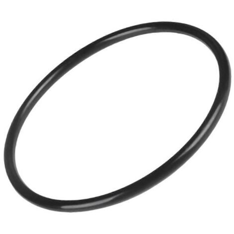 Joint torique de tête de filtre pour SwimClear C100S/C150S/C200S (1/5)