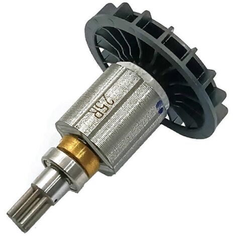Induit de moteur rotor 619626-3 pour XWT15 DTW300 (1/5)