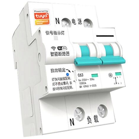 Disjoncteur intelligent Tuya WIFI temporisé 63 A 2P (1/5)
