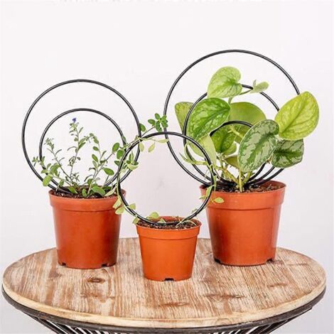 Treillis ronds d'intérieur pour plantes grimpantes, structures métalliques, B (1/5)