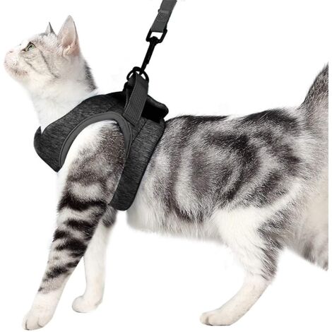 Harnais et laisse pour chat/chien, enveloppant à 360°, gris (1/4)