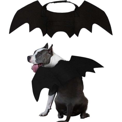 Déguisement pour chien/chat/vampire/chauve-souris (grande taille) - Costume d'Halloween (1/5)