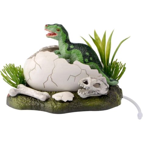 Bébé dinosaure nouveau-né, décoration vivante pour aquarium. (1/4)