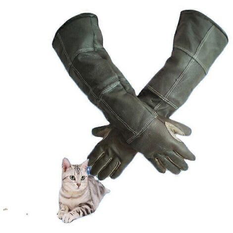 Gants de protection pour la manipulation d'animaux (chiens, chats, oiseaux, serpents, perroquets, lézards), anti-morsures et griffures, pour le jardinage et les animaux sauvages. (1/5)