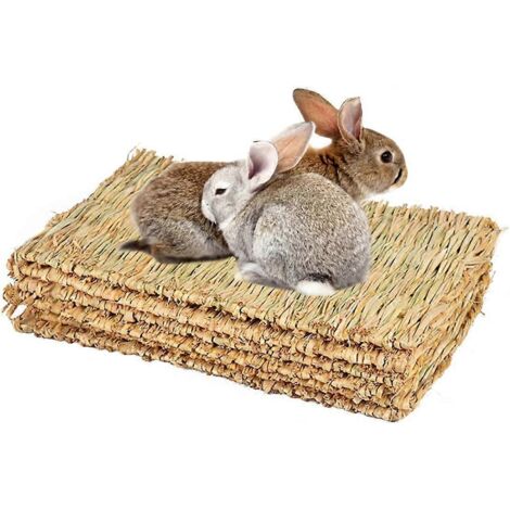 Tapis en herbe naturelle tissé à la main, servant de jouet à mâcher pour petits animaux comme un hamster, un cochon, un lapin ou un perroquet. (1/5)
