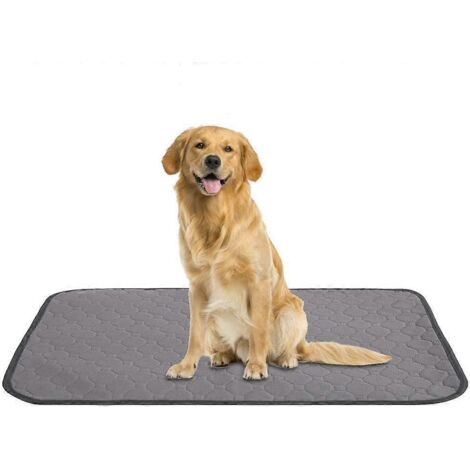 Tapis absorbants pour animaux - Tapis lavables pour chiens, tapis d'apprentissage réutilisables, tapis imperméables pour bébés, sol absorbant (1/5)