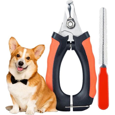 Coupe-griffes pour chat, coupe-griffes pour chaton, coupe-griffes pour chien, coupe-ongles en acier inoxydable pour chat, coupe-griffes (1/5)
