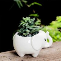 Pots de fleurs en céramique blanche, pots pour plantes succulentes, mini pot éléphant, décoration de pots en céramique pour bonsaïs et plantes succulentes AloeElephan