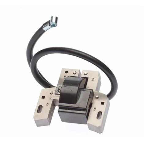 Briggs & Stratton – Bobine d'allumage 10 à 14 cv – Entraxe de fixation 64,5 mm – Remplace les références 492341, 490586, 491312, 495859