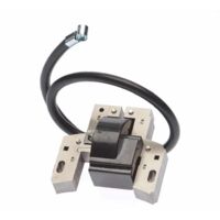 Briggs & Stratton – Bobine d'allumage 10 à 14 cv – Entraxe de fixation 64,5 mm – Remplace les références 492341, 490586, 491312, 495859