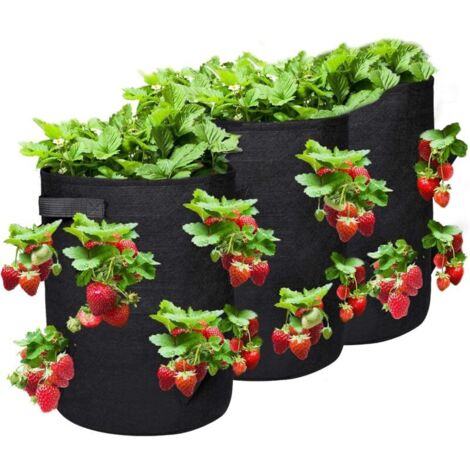 CSPARKV 3 Sacs de Plantation Etanche de Jardin,Sac de Culture, Sac à Plantes en Textile Non-Tissé pour Fraise/Fleur/Tomates, Respirant, Perméable à l’Air, 10 Garon avec Poignées et Fenêtre, 35x35x43cm (1/5)