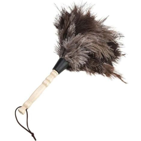 Plumeau Poussiere, Plume d'Autruche Plumeau Réutilisable Dépoussiérage Poignée en Bois Longuer de 34 cm Outil de Nettoyage Lavable pour Maison Bureau Salon Bibliothèque Claver Meuble Sto (1/4)