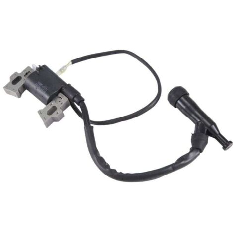 Bobine D'allumage Pour Moteur Generatrice Essence 5.5HP 6.5HP 168F (1/4)