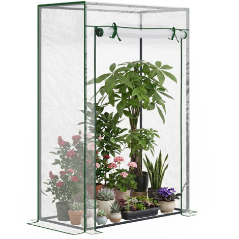 Serre avec porte enroulable et structure en acier, serre de jardin pour terrasse ou patio, 100 x 50 x 150 cm, transparente (1/5)