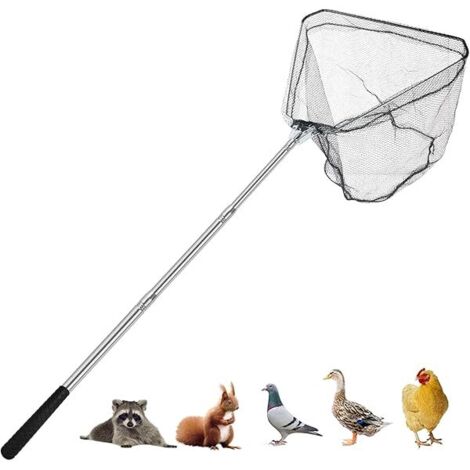 Filet De Capture Pour Volailles - Manche Télescopique En Acier Inoxydable De 117 Cm - Pour Poulets Canards Oiseaux Et Petits Animaux - 1 Pièce