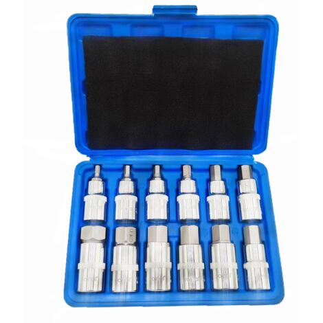 Clé à douille Torx - 12 pièces - 5 6 7 8 10 12 14 16 17 18 19 22 mm - Carré 12,5 mm (1/2 pouce) - Boîte de rangement en plastique (1/5)