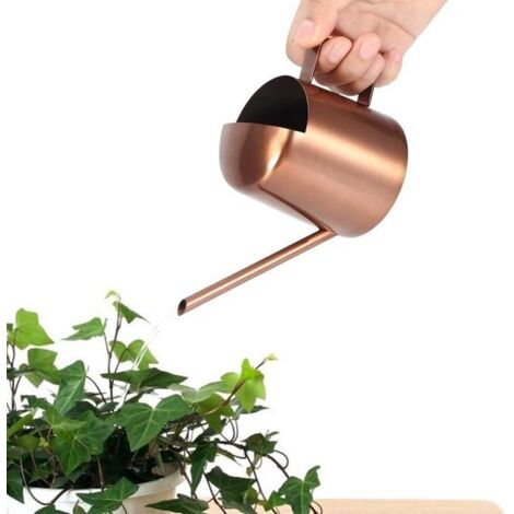300ml small stainless steel watering can with long spout – perfect for watering plants and home use. (1/5)