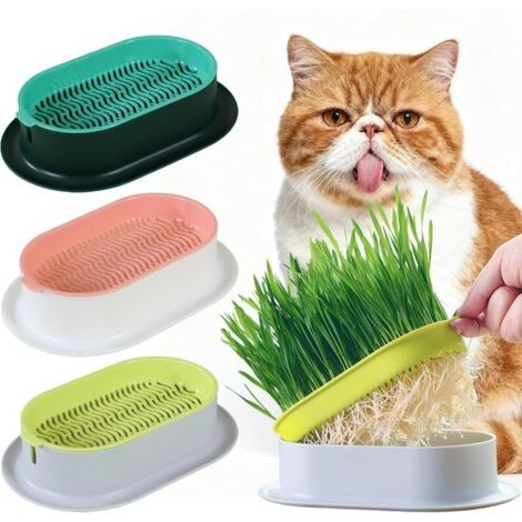 Cat Grass Planting Pots - Hydroponic Tray - 18.9 × 12.3 × 4.5 cm - Reusable - Easy to plant - With protective netting - Suitable for indoor, balcony, and patio use - Available in 3 colors (1/5)